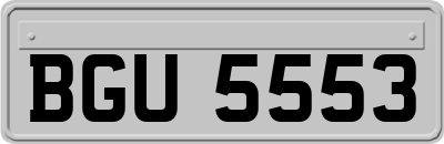 BGU5553