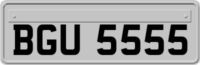 BGU5555