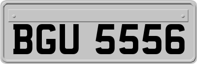 BGU5556