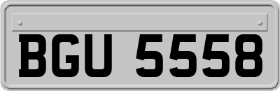 BGU5558