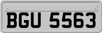 BGU5563