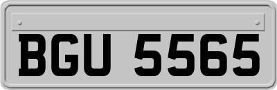 BGU5565