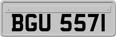 BGU5571