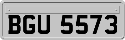 BGU5573