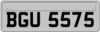 BGU5575