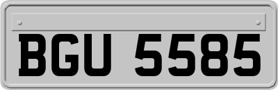 BGU5585