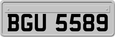 BGU5589