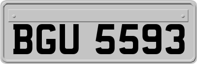 BGU5593