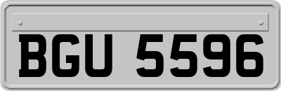 BGU5596
