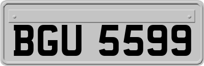 BGU5599