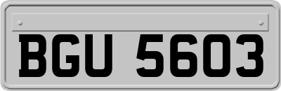 BGU5603