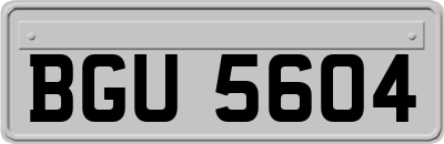 BGU5604