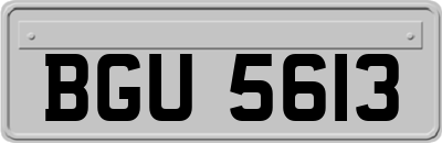 BGU5613