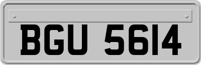 BGU5614