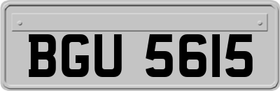 BGU5615