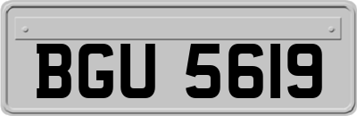 BGU5619
