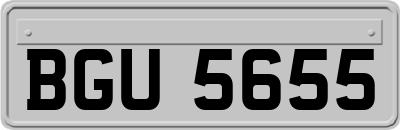 BGU5655