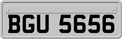 BGU5656