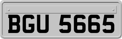 BGU5665