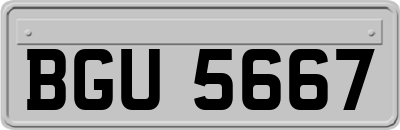 BGU5667