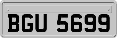 BGU5699