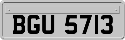BGU5713
