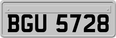 BGU5728