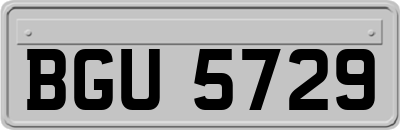 BGU5729