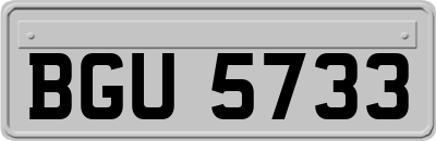 BGU5733
