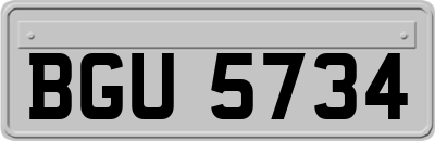 BGU5734