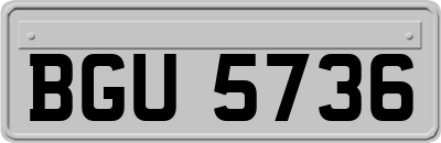 BGU5736