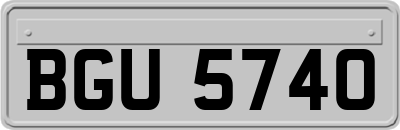 BGU5740