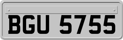 BGU5755