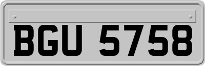 BGU5758
