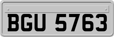 BGU5763