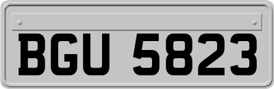 BGU5823