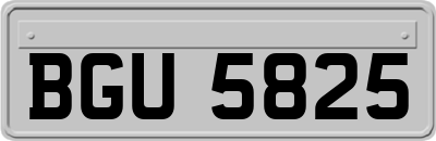 BGU5825