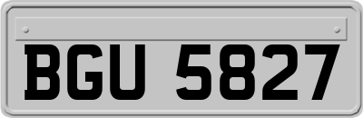 BGU5827