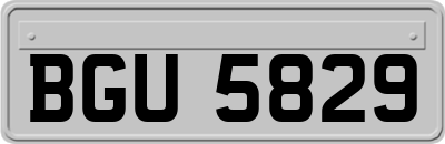 BGU5829