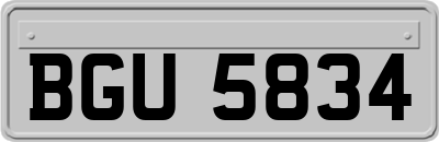 BGU5834