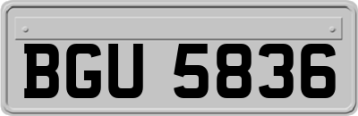 BGU5836
