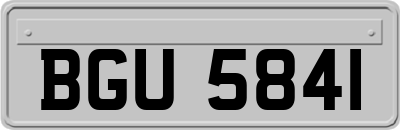 BGU5841