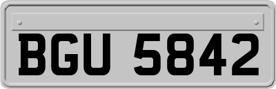 BGU5842