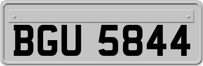 BGU5844