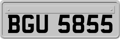 BGU5855
