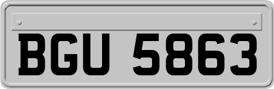 BGU5863