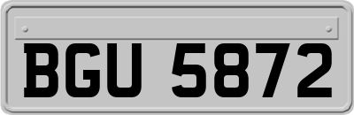 BGU5872