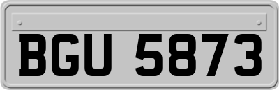 BGU5873