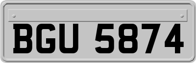 BGU5874