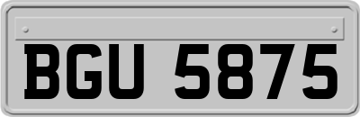 BGU5875